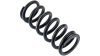 RockShox Feder  L schwarz