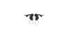 SRAM Rival  17 mm schwarz