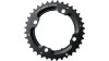 Truvativ MTB  XXL schwarz