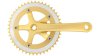 CONTEC HPSTR ONE Select  XL gold