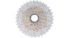 Shimano CS-HG81-10  Unisize silber