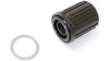 Shimano Freilaufkörper  XL schwarz