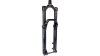 RockShox Domain RC  S schwarz, grau