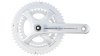 Campagnolo Centaur 11  XL silber