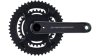 Campagnolo Super Record WRL 12s PWM  L schwarz