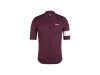 Rapha Trikot Rapha 25 Core Lightweight XXL Fudge/White A
