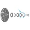 SHIMANO Ritzel für CS-LG700 11-13 Zähne