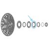 SHIMANO Ritzel für CS-LG700 13 Zähne